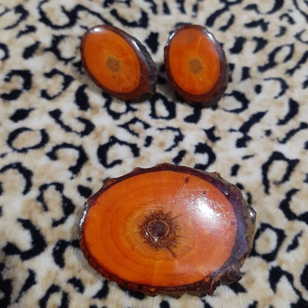 🌈Vintage Broach & Clip-on Earring Set